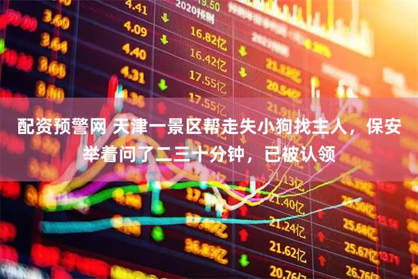 配资预警网 天津一景区帮走失小狗找主人，保安举着问了二三十分钟，已被认领