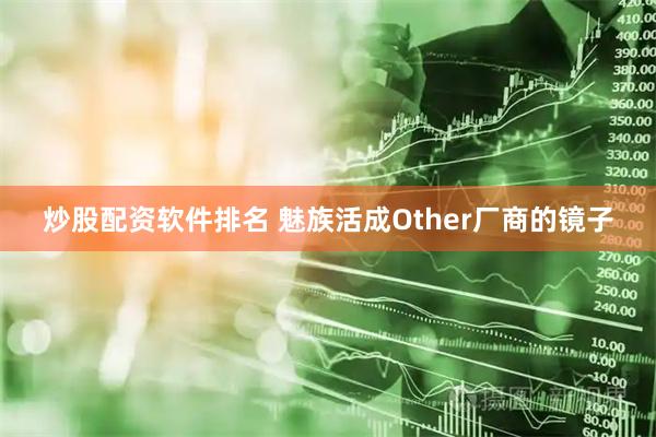 炒股配资软件排名 魅族活成Other厂商的镜子