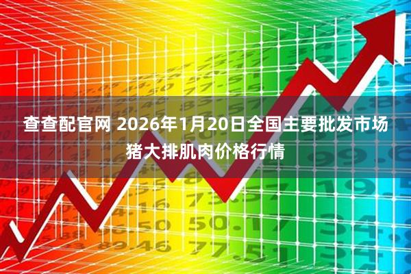 查查配官网 2026年1月20日全国主要批发市场猪大排肌肉价格行情