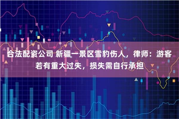 合法配资公司 新疆一景区雪豹伤人，律师：游客若有重大过失，损失需自行承担