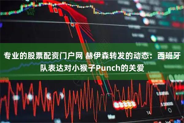 专业的股票配资门户网 赫伊森转发的动态：西班牙队表达对小猴子Punch的关爱