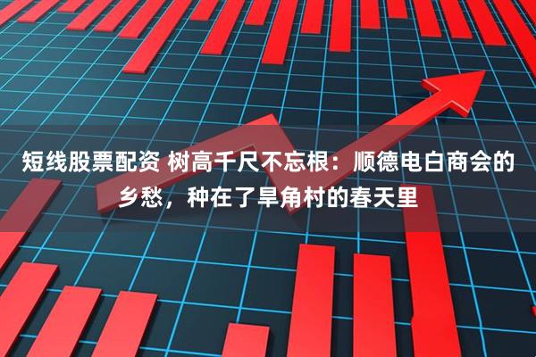 短线股票配资 树高千尺不忘根：顺德电白商会的乡愁，种在了旱角村的春天里