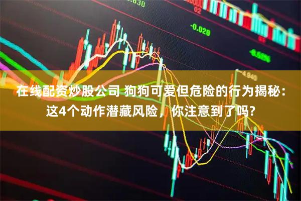 在线配资炒股公司 狗狗可爱但危险的行为揭秘：这4个动作潜藏风险，你注意到了吗?