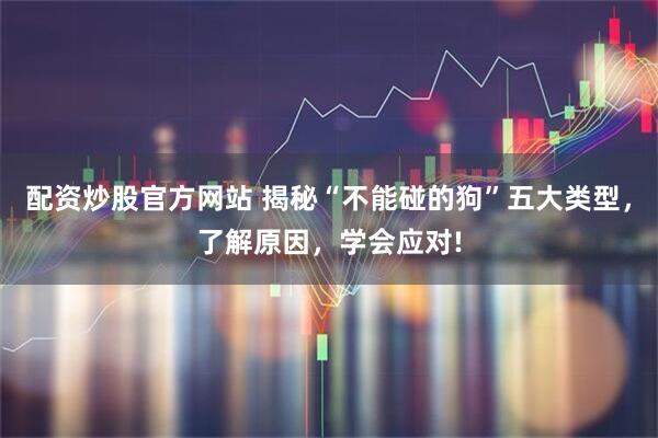 配资炒股官方网站 揭秘“不能碰的狗”五大类型，了解原因，学会应对!