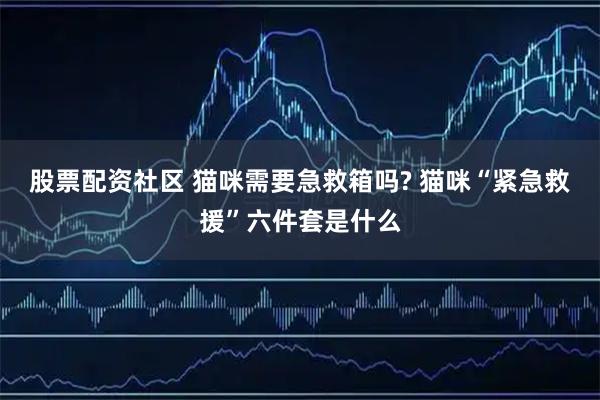 股票配资社区 猫咪需要急救箱吗? 猫咪“紧急救援”六件套是什么