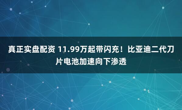 真正实盘配资 11.99万起带闪充！比亚迪二代刀片电池加速向下渗透